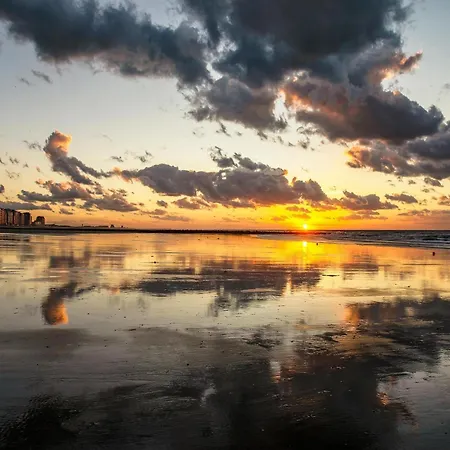 Cozy On The 5th Floor With Terrace Daire Middelkerke